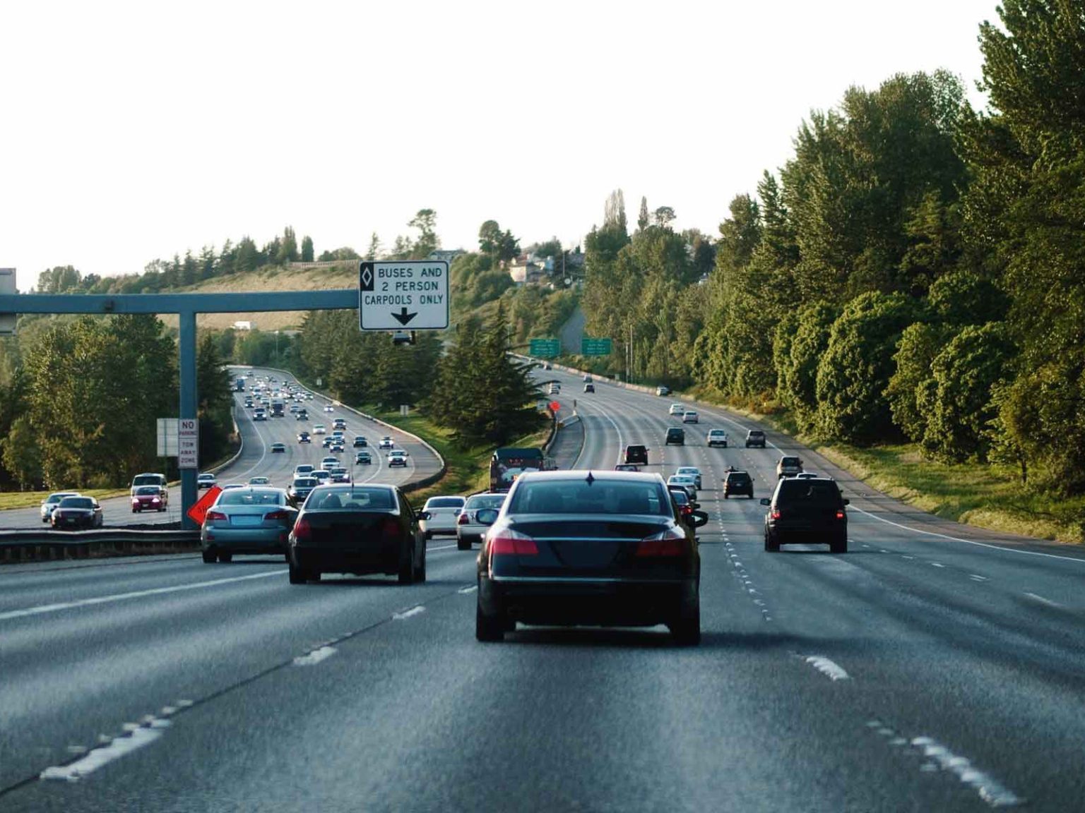 Michigan Driving School